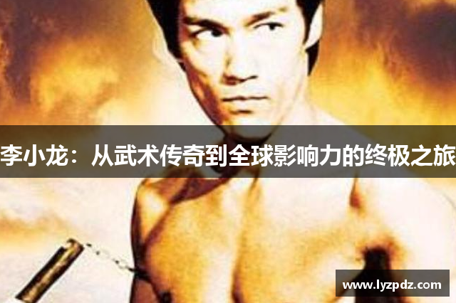 李小龙：从武术传奇到全球影响力的终极之旅